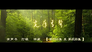 有声书    打眼     神藏    【 第1765集 至 第1826集 】