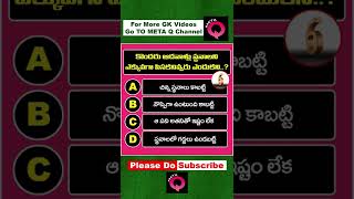 కొందరు ఆడవాళ్లు స్థనాలని ఎక్కువగా పిసకనివ్వరు  ఎందుకని..? | Meta Q