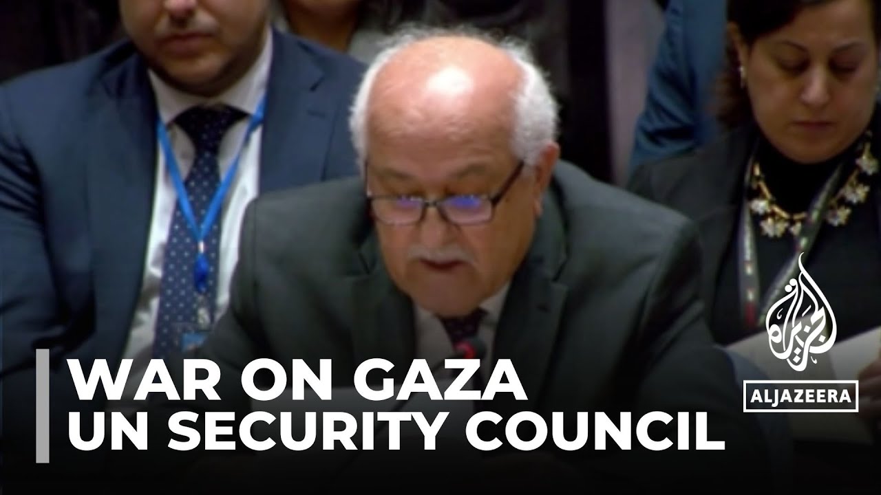 UN Vote On Humanitarian Aid: Security Council Passes Gaza Resolution ...