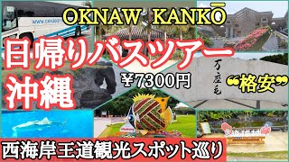 沖縄本島・西海岸の王道観光スポットを日帰りバスツアーで巡る旅