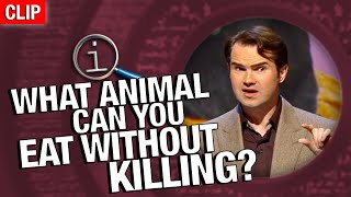 QI | What Animal Can You Eat Without Killing?