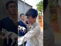 save kittens (cứu mèo con)#catvideos #catlover #kitten #cats #cat#shorts