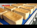 AOCNO complete bread system,