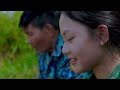 country girl image of ripe rice season in vietnam. harvesting rice with neighbors