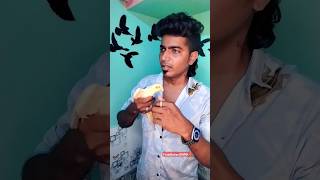 ஏய் நீ 10 பேரு😡 நாங்க 2 பேரு...#finalcody0490 #tamil #funny #birds #birdslover #youtubeshorts #yt