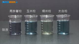 高中化學_綠色化學實驗_選修化學V_生物體內的聚合物_蛋白質變性與澱粉的性質_周芳妃范智傑