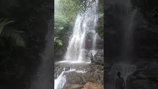 Kappimala Waterfall #kannur #paithalmala #waterfall