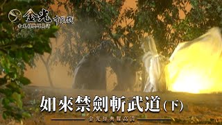 【金光經典耀高清 如來禁劍斬武道(下)｜缺舟一帆渡、玄狐】