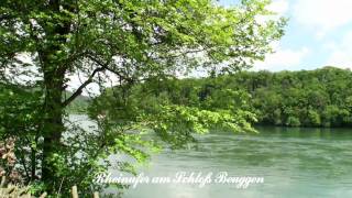 Rheinfelden/Baden -  Panorama Video