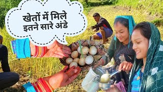 पतिदेव ने मदद की गेहूं की कटाई में||ऐसा पति तो सबको मिले🤗🤗||PahadiLifestyle||Aishwarya Negi vlogs