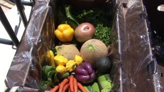 Underwood Family Farms CSA Program - Behind the Scenes