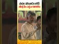 పాపం పసివాడు జగన్  #appolitics #chandrababu #shortsfeed #shorts #ncbn #cbnofficial #tdp #cbn