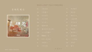 BGM 长相思配乐 | Drama Lost You Forever BGM