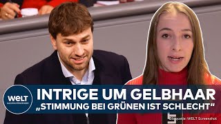 EKLAT BEI GRÜNEN: Intrige um Gelbhaar! Vorwürfe unter falscher Identität! Aufklärung noch am Anfang