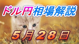 【FX】ドル円為替相場の予想と前日の動きをチャートから解説。日経平均、NYダウ、金チャートも。5月28日