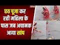 Chhath Puja Snake Viral Video : जब Chhath Puja कर रही महिला के पास आया सांप, Video Viral | Top News