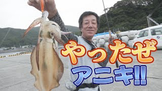 【エギング】釣りにいくぜアニキ！徳島県美波町でアオリイカを狙う