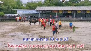 ผลการแข่งขันสนามนาทราย นครฯ 19 พ.ย.63