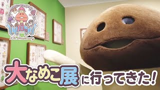 なめこが「大なめこ展」に行ってきた！