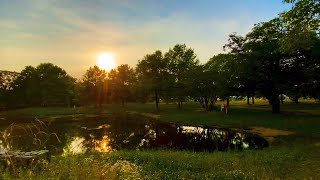 鶴見緑地公園ぶらぶら 〜あじさい小路〜