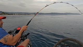 Che SORPRESA 😱 traina al pesce serra ma arriva molto di più.. una bestia.