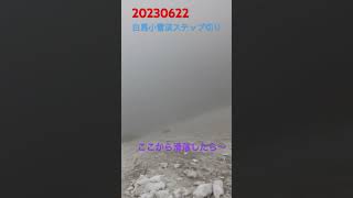 20230622毎年恒例小雪渓ステップ切り #hakuba #白馬 #北アルプス #山小屋生活 #滑落#雪切り