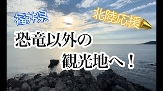 【恐竜博物館よりおすすめ】恐竜以外の観光地へ行ってみました！【北陸応援】