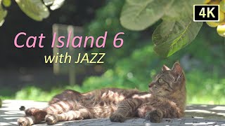 【猫×ジャズ 6th】癒しの猫島 猫歩き2時間 4K映像 夏の猫  Cat Island in JAPAN  with JAZZ. Japan’s cat island is paradise