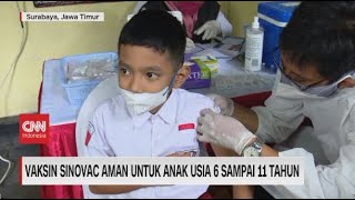 Vaksin Sinovac Aman Untuk Anak Usia 6-11 Tahun