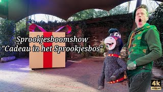 Er ligt een groot cadeau in het sprookjesbos, maar voor wie? - POV 4K