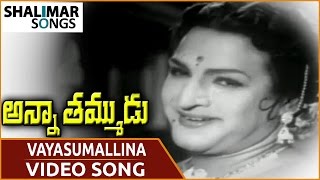 Anna Tammudu || Mrogimpave Hrudaya Video Song || NTR, Janaki, Relangi || Shalimar Songs