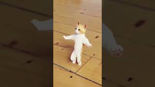 झुमकावाली पोरं || Jhumka wali por || Best dance cat #shorts #youtubeshorts #trending #viral #fun