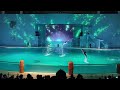 dolphin night show：yokohama hakkeijima seaparadise ナイトイルカショー「lightia」：横浜・八景島シーパラダイス ※2023.08.01