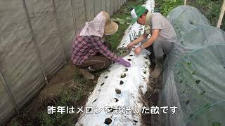 菜園だより200214収穫・植え付け