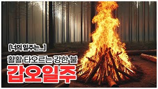 [너의 일주는] 활활 타오르는 강한 불, 갑오일주