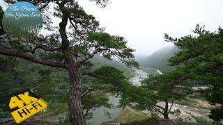 4K|Peaceful scenery with pine trees overlooking the river.|ASMR|SoundOfNature|KillTime|SpaceOut