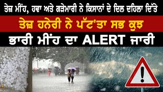 ਤੇਜ਼ ਮੀਂਹ, ਹਵਾ ਅਤੇ ਗੜੇਮਾਰੀ ਨੇ ਕਿਸਾਨਾਂ ਦੇ ਦਿਲ ਦਹਿਲਾ ਦਿੱਤੇ  ਤੇਜ਼ ਹਨੇਰੀ ਨੇ ਪੱਟ'ਤਾ ਸਭ ਕੁਝ