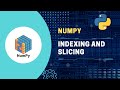 #5 Python NumPy Tutorial: Indexing and Slicing