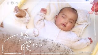 赤ちゃんに叩かれても、なんとか一緒に寝ようとする猫がかわいい…