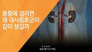 통풍에 걸리면 왜 대사증후군이 같이 생길까 - (20150204_534회 방송)_통풍의 습격, 합병증