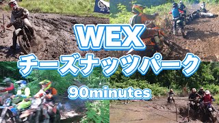 2024/07/07 WEX チーズナッツパーク90minutes