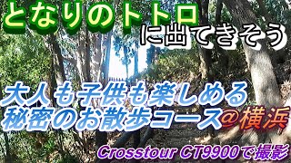 となりのトトロに出てきそうな秘密の散歩コース＠横浜