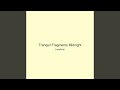 Tranquil Fragments Midnight