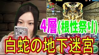 【パズドラ】白蛇の地下迷宮4層【一度きり】【トット】【百々さおり】