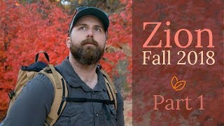 Photographing Zion's Fall Color | 2018