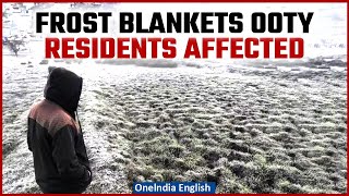 Tamil Nadu: Residents Struggle as Frost Grips Plants, Vehicles, Roads in Ooty | Oneindia News