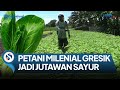 MILENIAL GRESIK BERHENTI BEKERJA, MEMILIH JADI PETANI SAYUR, KINI HASILKAN JUTAAN RUPIAH TIAP PANEN