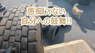 そうか！愚痴じゃなくて自分への鼓舞だったんだ。ゴールデンレトリバーティト。