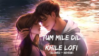 Tum Mile Dil Khile Lofi | Stebin Ben & Asees Kaur | Tum Mile Dil Khile New Version - Listen Me💖💖