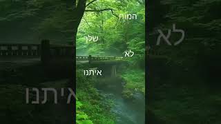 סימו סאב ולייק תודה רבה